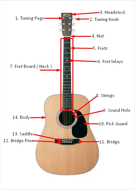 Parts Of An Acoustic and Electric Guitar