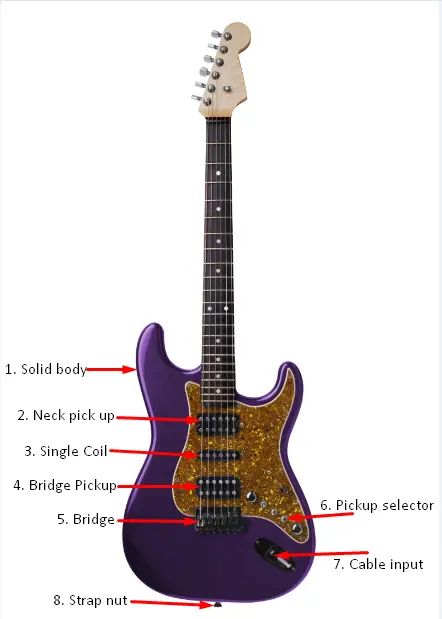 Parts Of An Acoustic and Electric Guitar