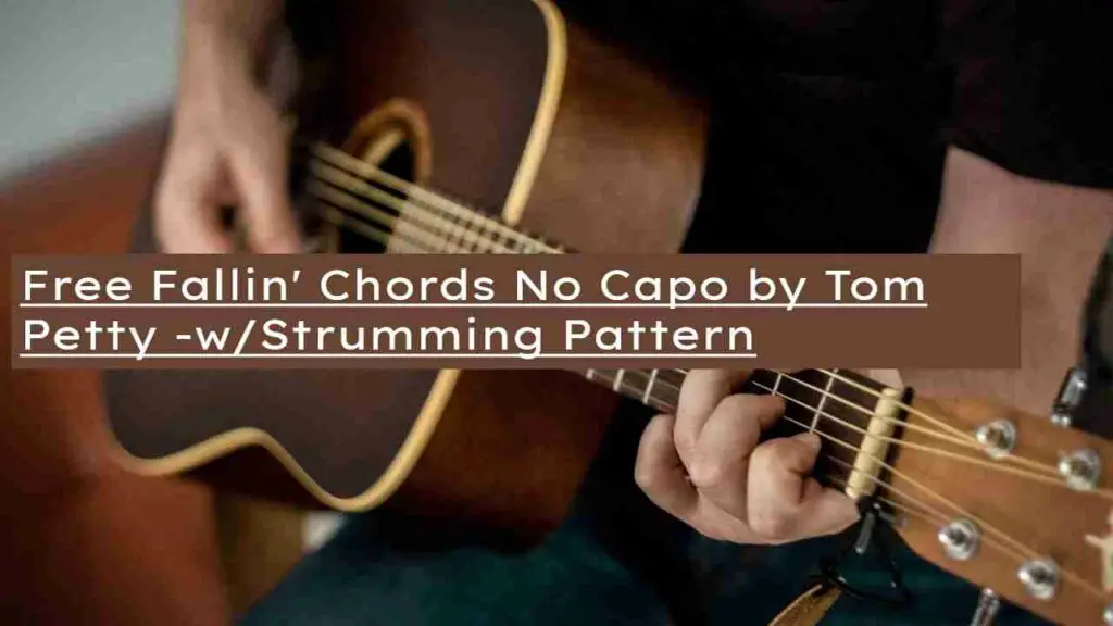 Free Fallin' Chords No Capo by Tom Petty - w/Strumming Pattern and Tabs