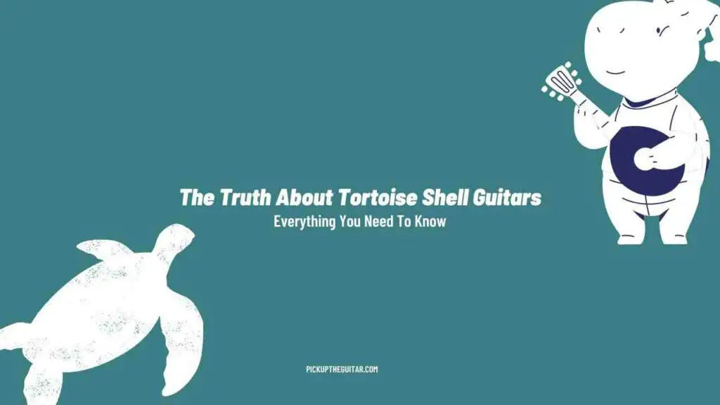tortoise-shell-guitars