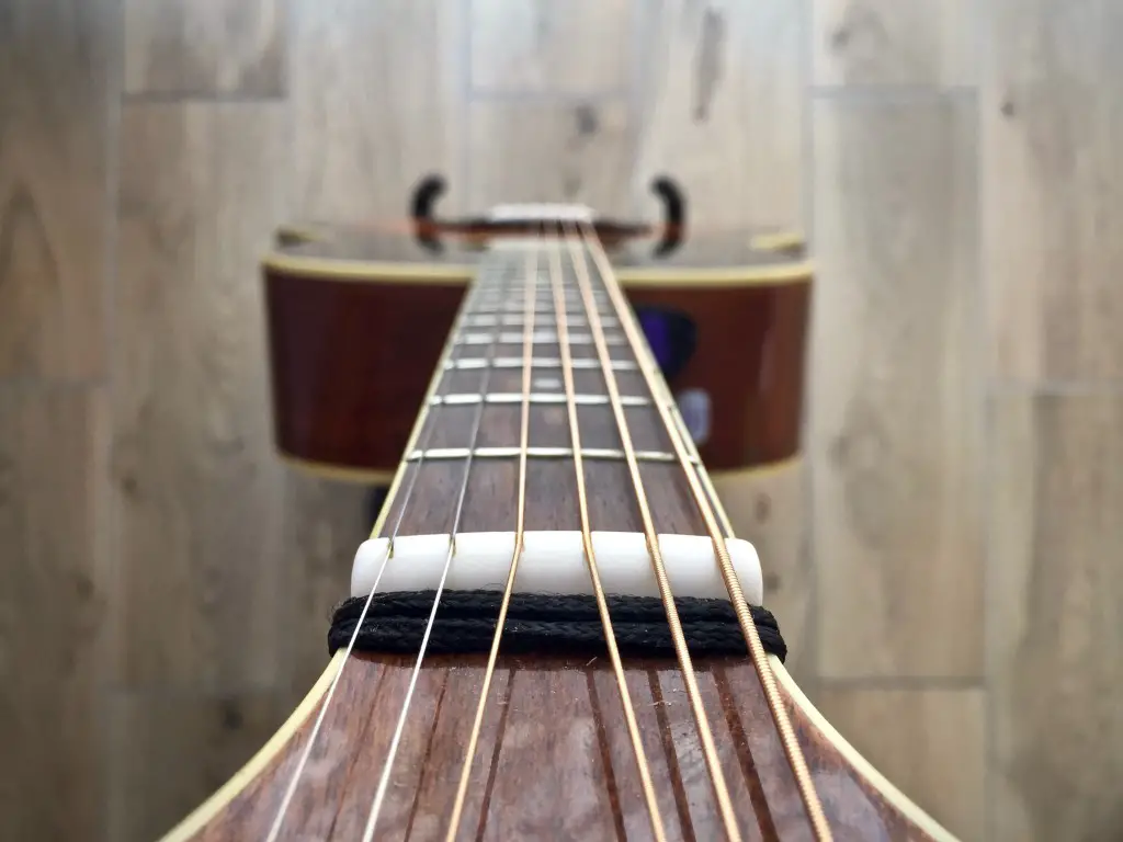 Guitar neck and strings